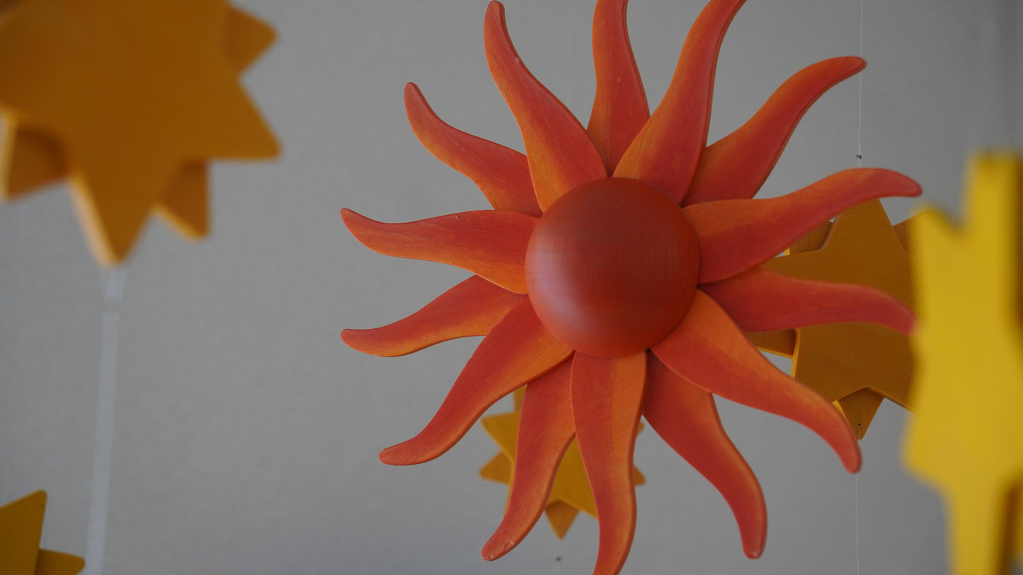 breitschwerdt コスモ