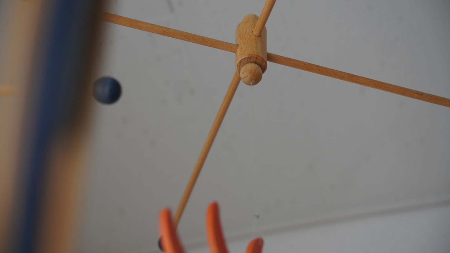 breitschwerdt コスモ