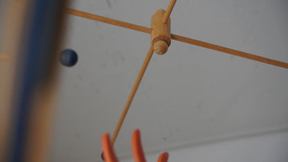 breitschwerdt コスモ