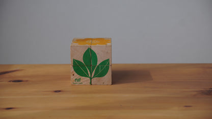 Naef モッティーボ