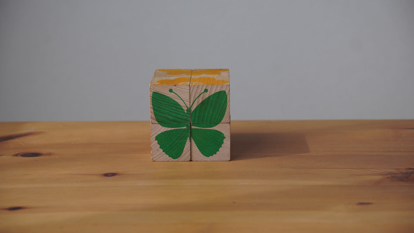 Naef モッティーボ