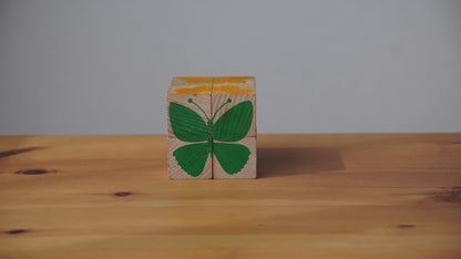 Naef モッティーボ