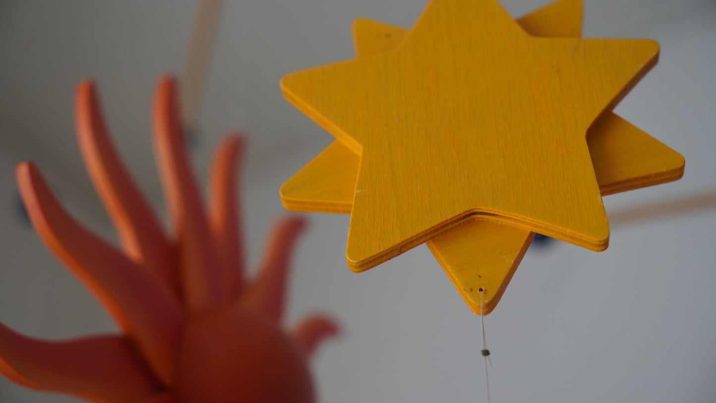 breitschwerdt コスモ