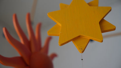 breitschwerdt コスモ