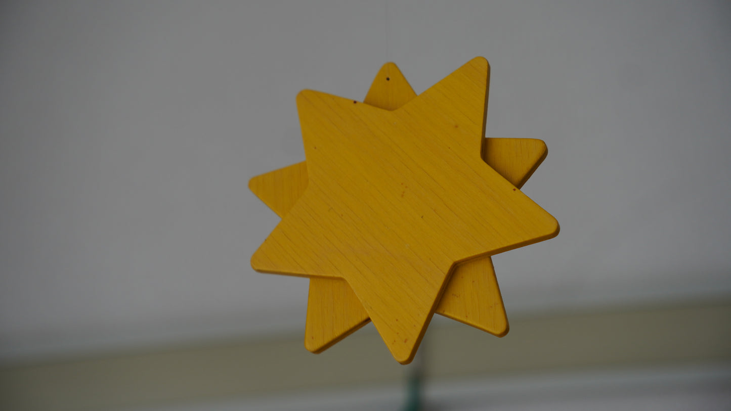 breitschwerdt コスモ