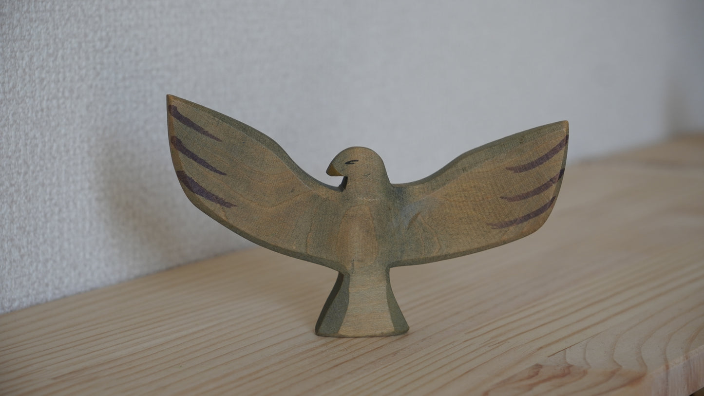 ostheimer オオワシ