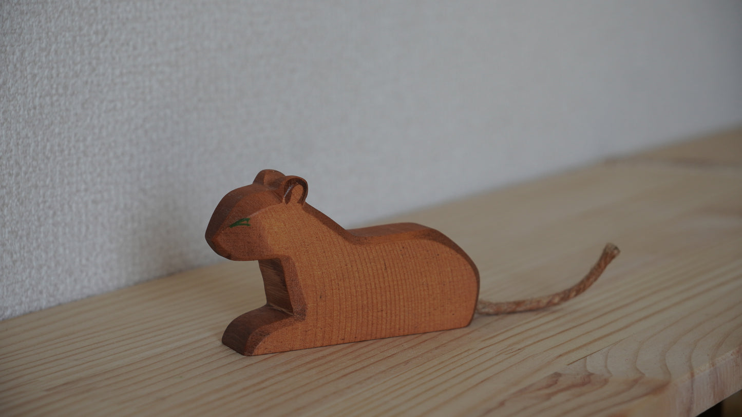 Ostheimer ライオン　メス